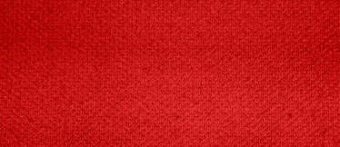 red 100% Baumwolle - red